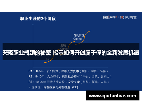 突破职业瓶颈的秘密 揭示如何开创属于你的全新发展机遇