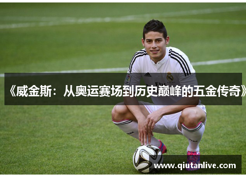 《威金斯:从奥运赛场到历史巅峰的五金传奇》 《威金斯:从奥运赛场到历史巅峰的五金传奇》