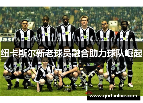 纽卡斯尔新老球员融合助力球队崛起 纽卡斯尔新老球员融合助力球队崛起